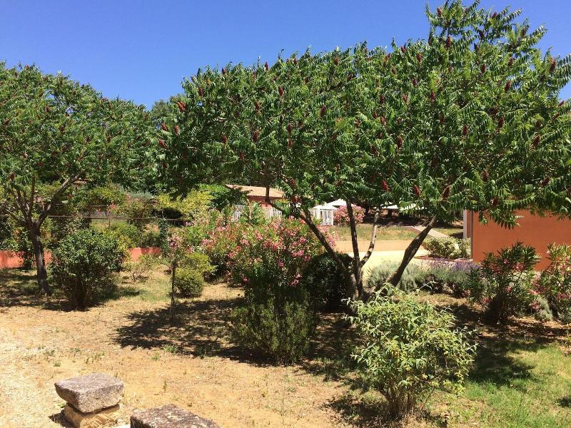 Hotel Les Ambres Roussillon en Isere Exteriér fotografie